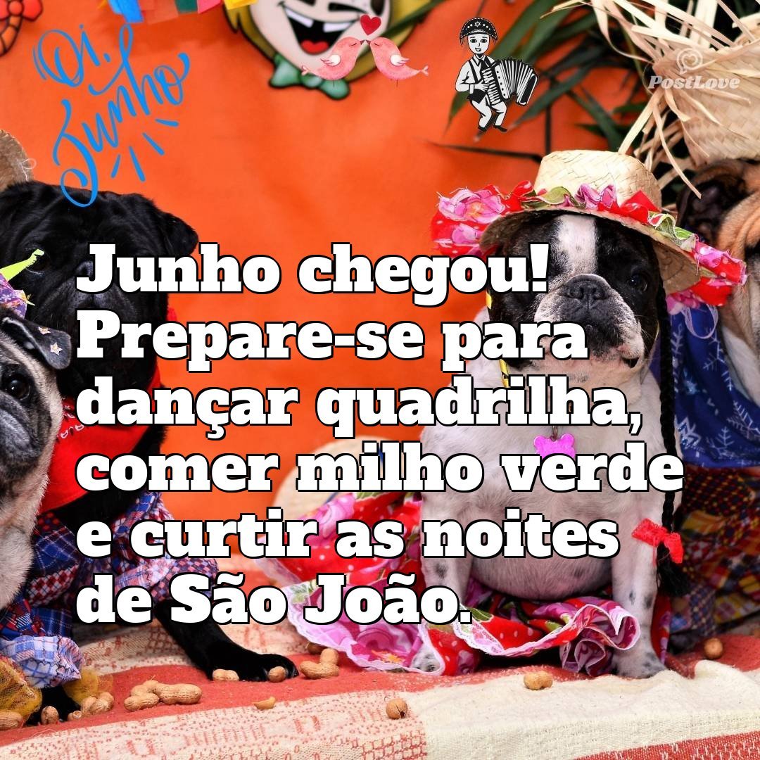 Junho chegou! Prepare-se para dançar quadrilha, comer milho verde e curtir as noites de São João.