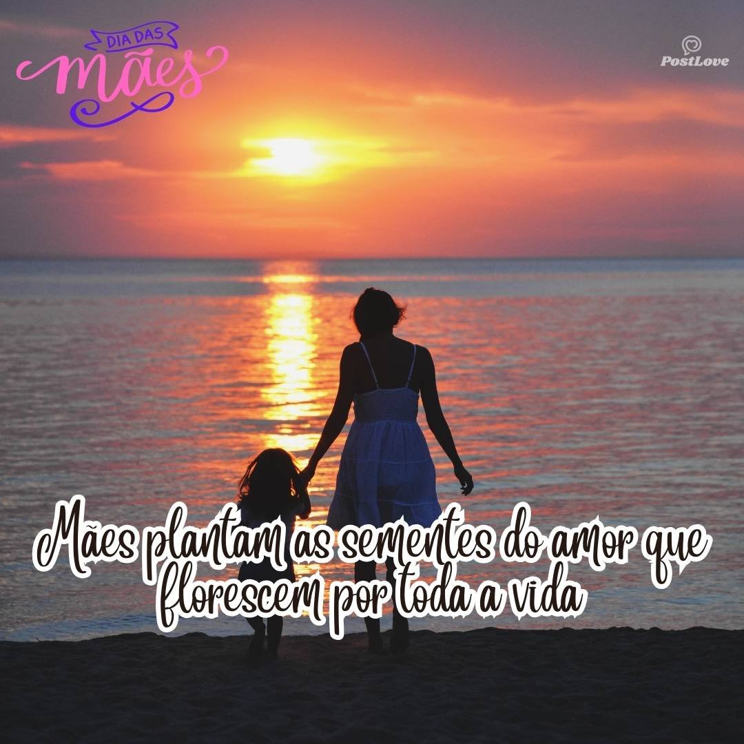 Mães plantam as sementes do amor que florescem por toda a vida