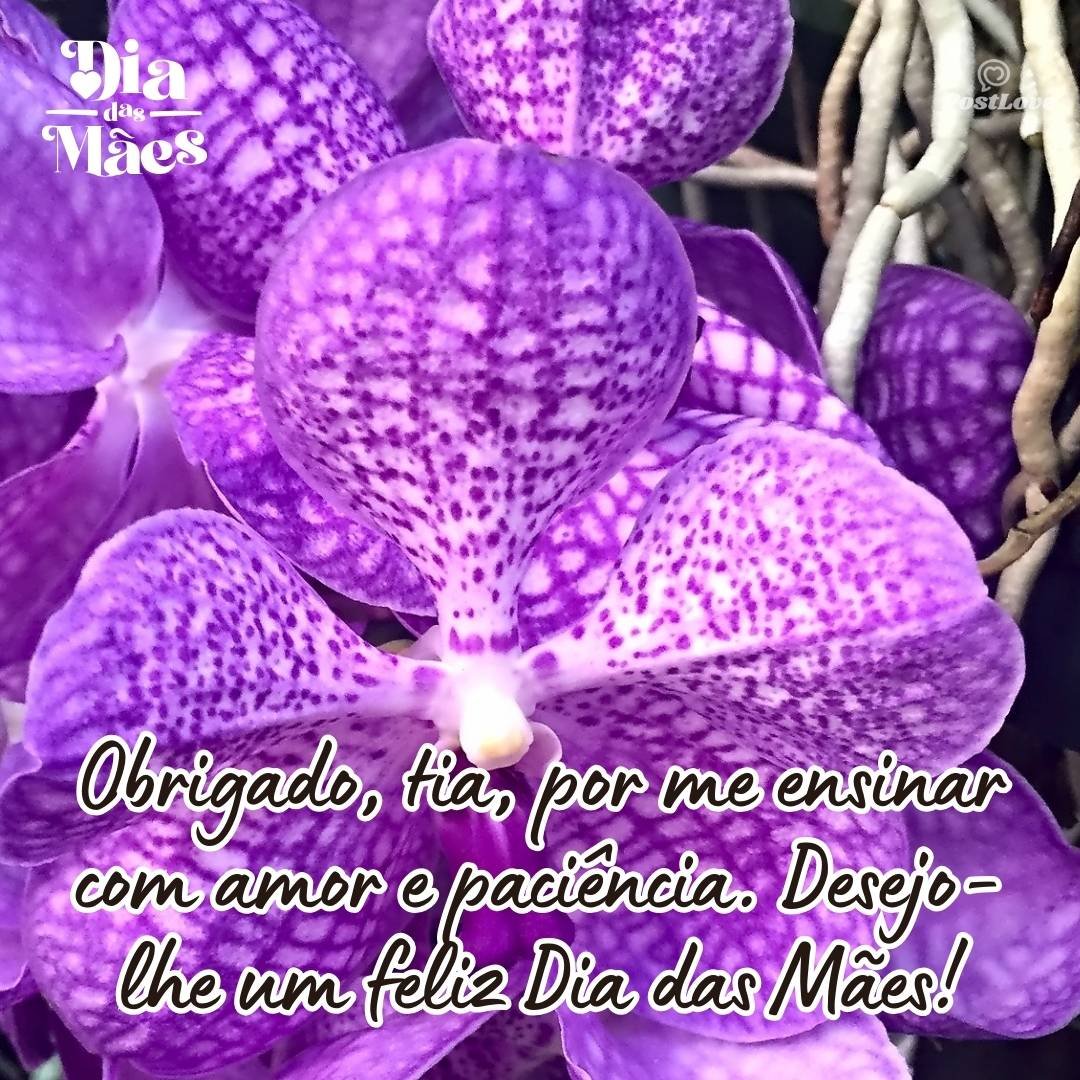 Obrigado, tia, por me ensinar com amor e paciência. Desejo-lhe um feliz Dia das Mães!