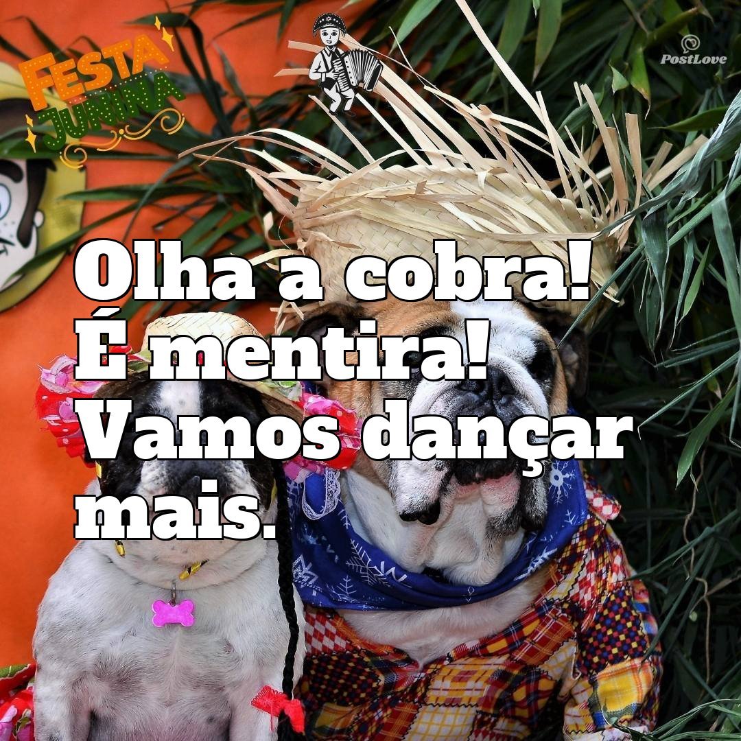 Olha a cobra! É mentira! Vamos dançar mais.
