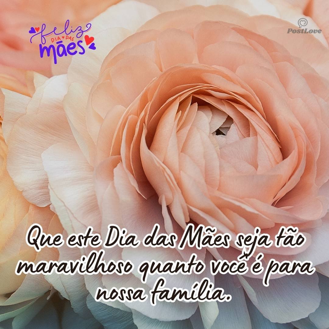 Que este Dia das Mães seja tão maravilhoso quanto você é para nossa família.