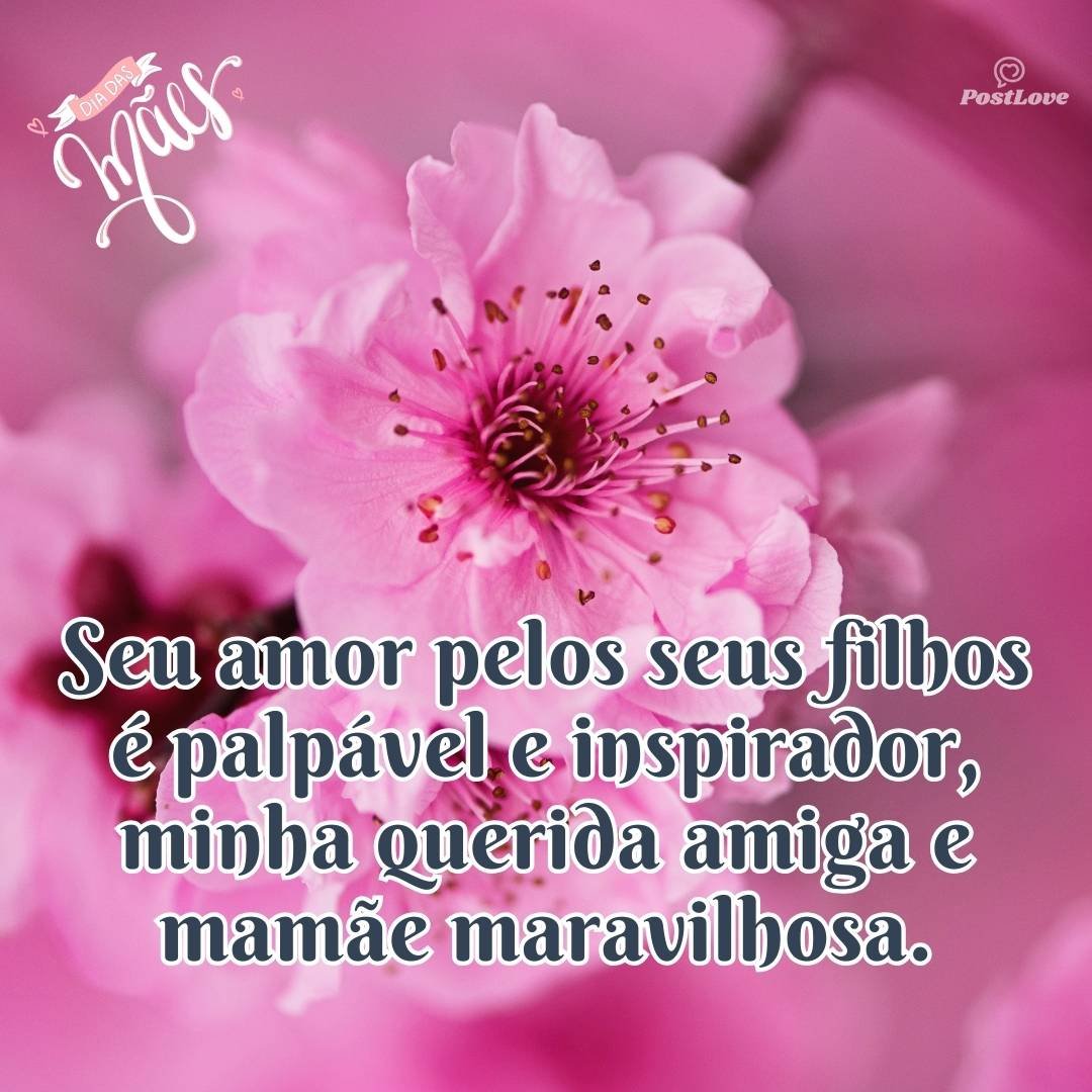 Seu amor pelos seus filhos é palpável e inspirador, minha querida amiga e mamãe maravilhosa.
