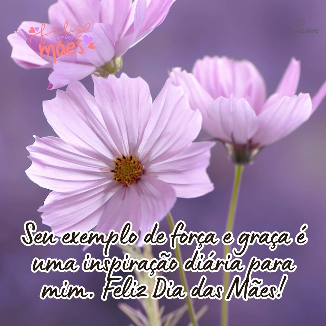 Seu exemplo de força e graça é uma inspiração diária para mim. Feliz Dia das Mães!