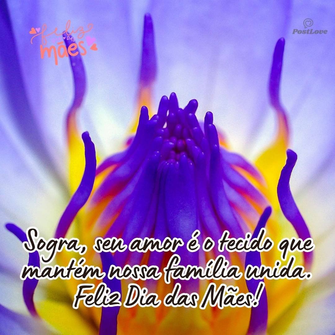 Sogra, seu amor é o tecido que mantém nossa família unida. Feliz Dia das Mães!