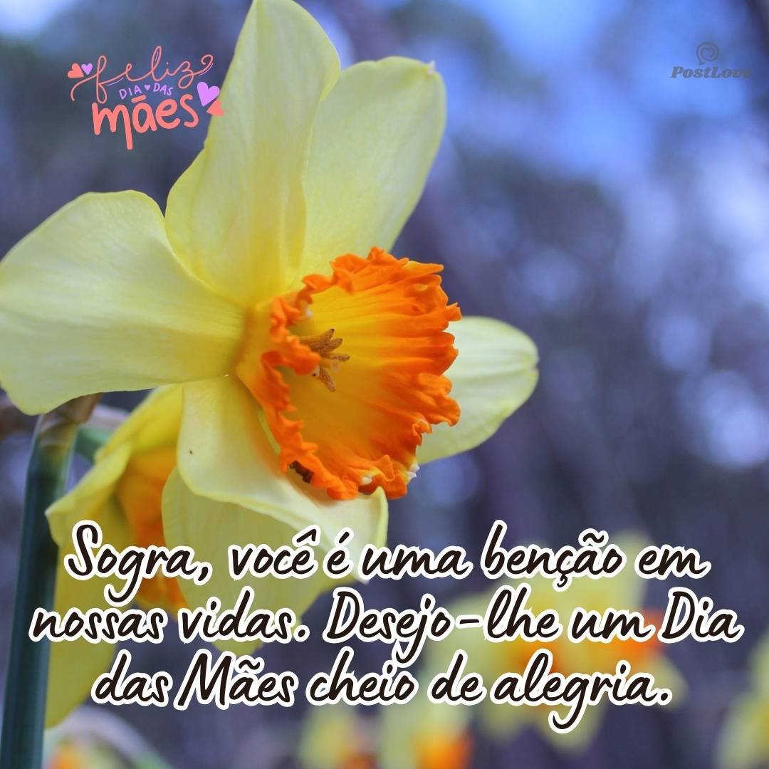 Sogra, você é uma benção em nossas vidas. Desejo-lhe um Dia das Mães cheio de alegria.