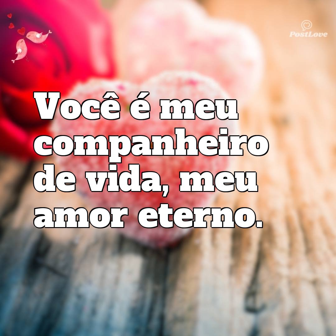 Você é meu companheiro de vida, meu amor eterno.