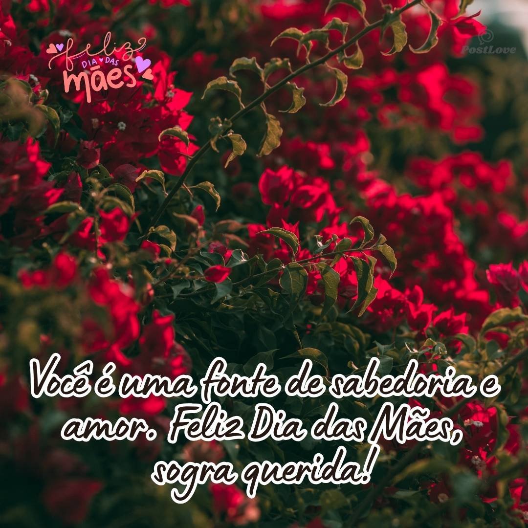 Você é uma fonte de sabedoria e amor. Feliz Dia das Mães, sogra querida!