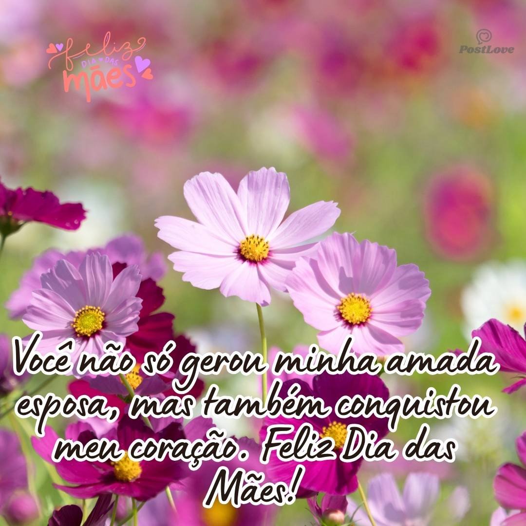 Você não só gerou minha amada esposa, mas também conquistou meu coração. Feliz Dia das Mães!