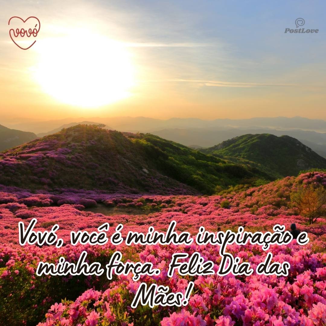 Vovó, você é minha inspiração e minha força. Feliz Dia das Mães!
