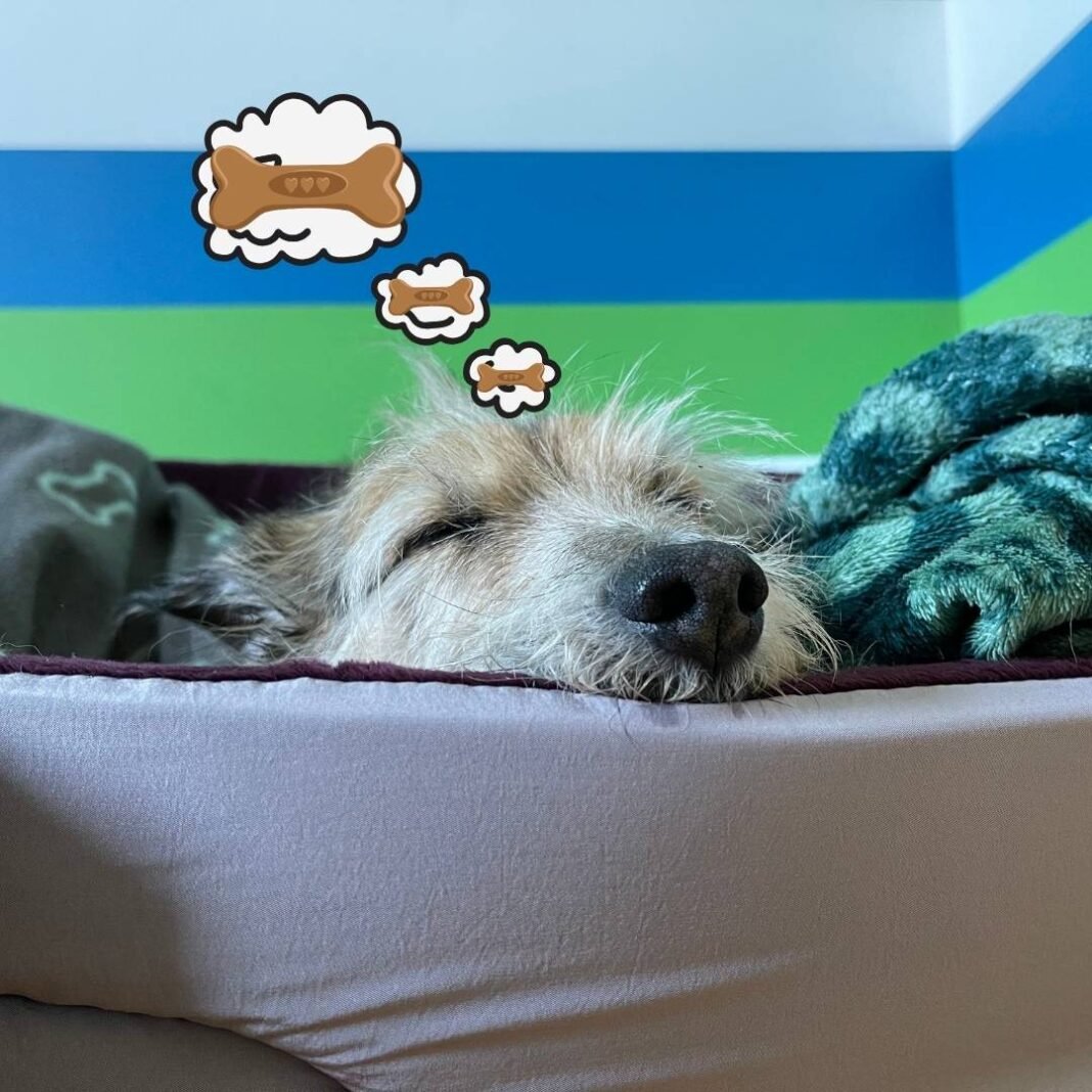 boa-noitefrases-de-boa-noite-curtas