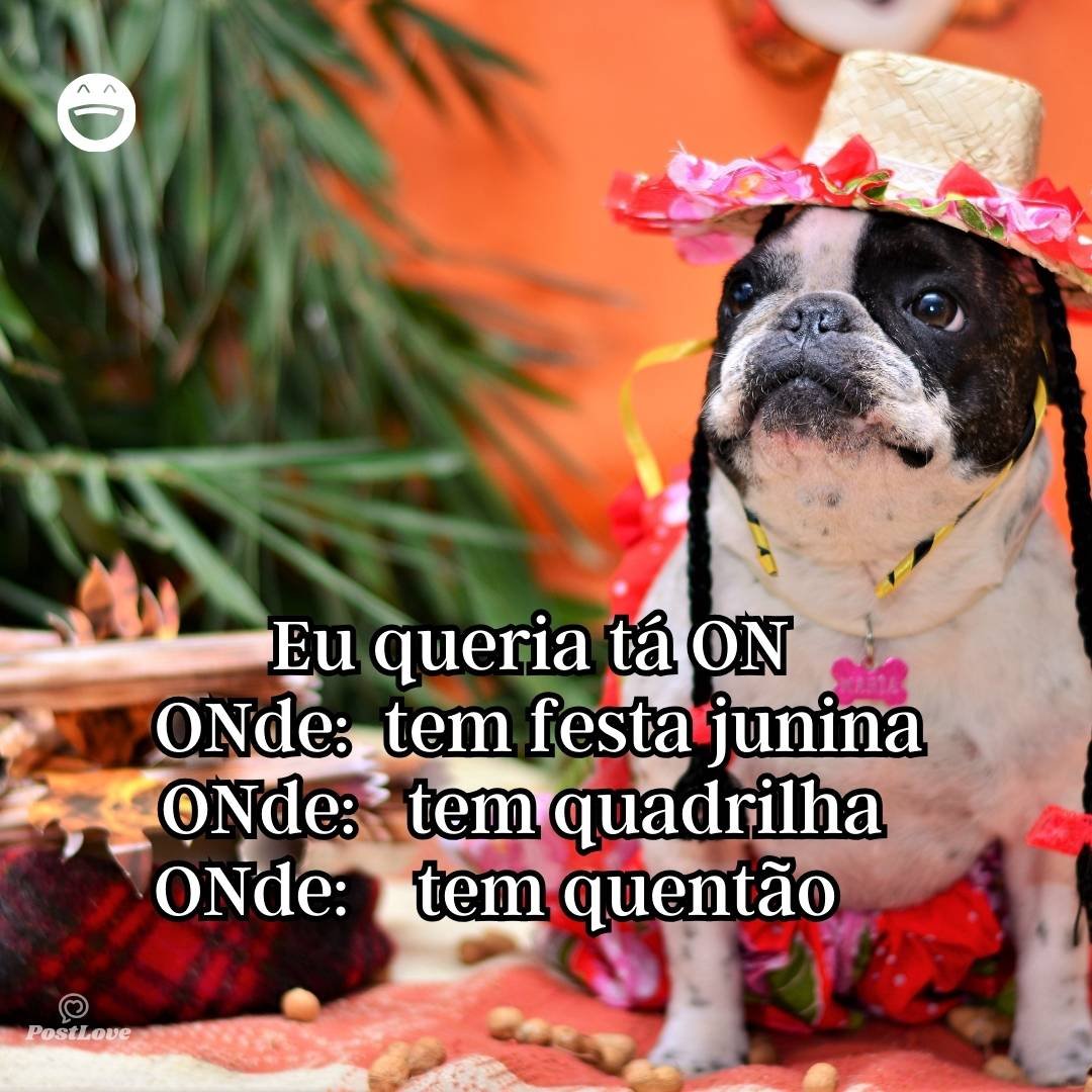 Eu queria tá ON
ONde: tem festa junina
ONde: tem quadrilha
ONde: tem quentão