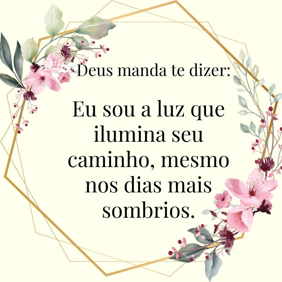 Eu sou a luz que ilumina seu caminho, mesmo nos dias mais sombrios.