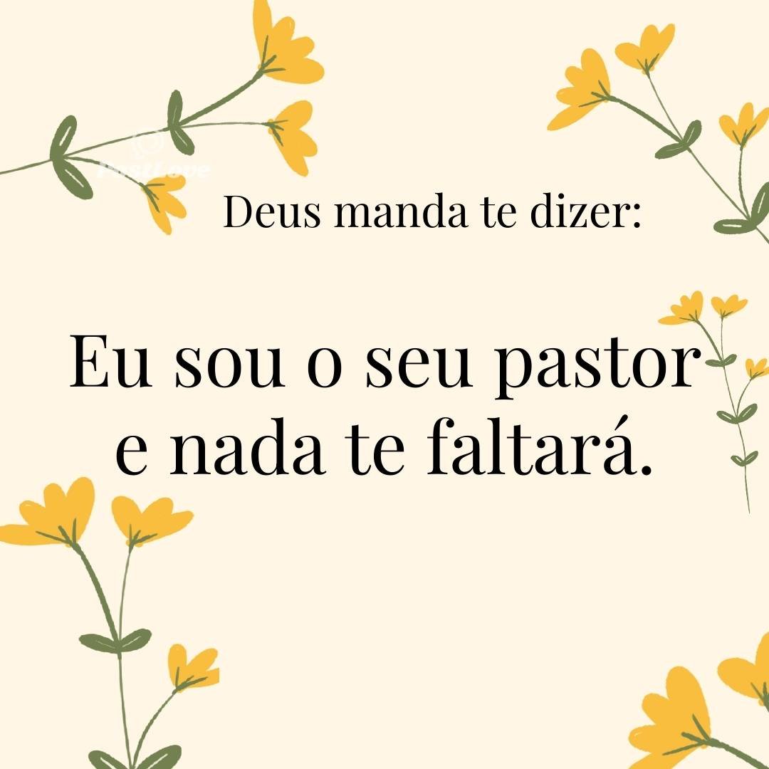 Eu sou o seu pastor e nada te faltará.