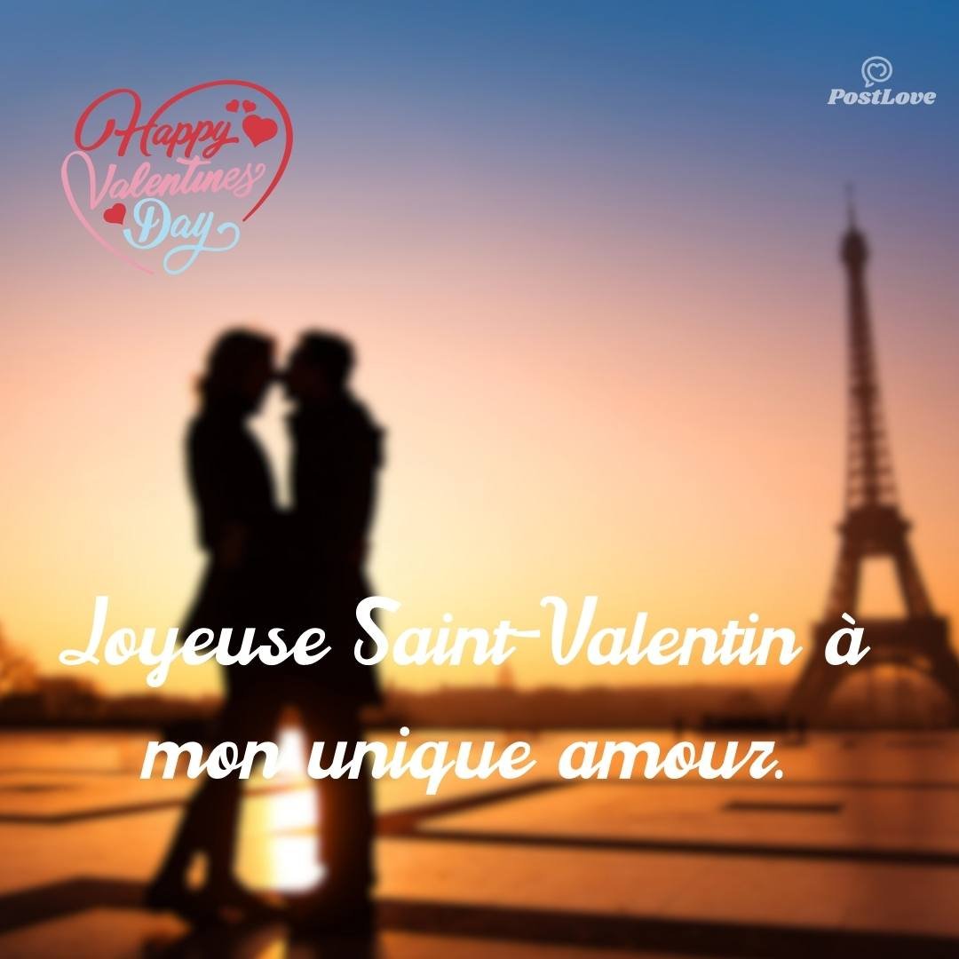 Joyeuse Saint-Valentin à mon unique amour.