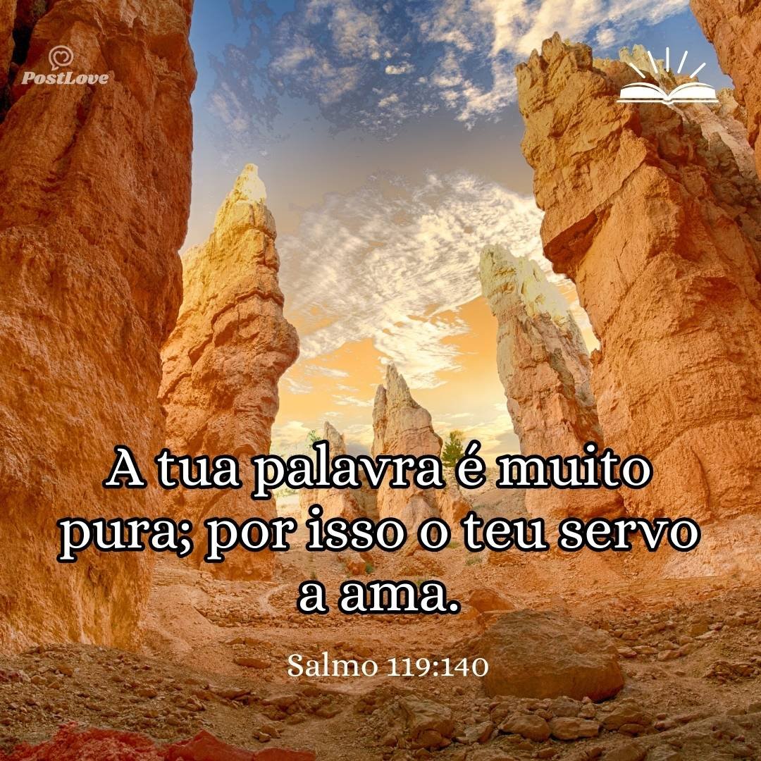 A tua palavra é muito pura; por isso o teu servo a ama.