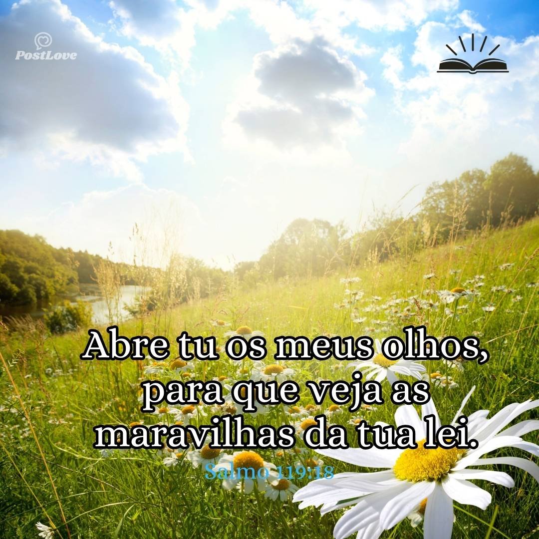 Abre tu os meus olhos, para que veja as maravilhas da tua lei.