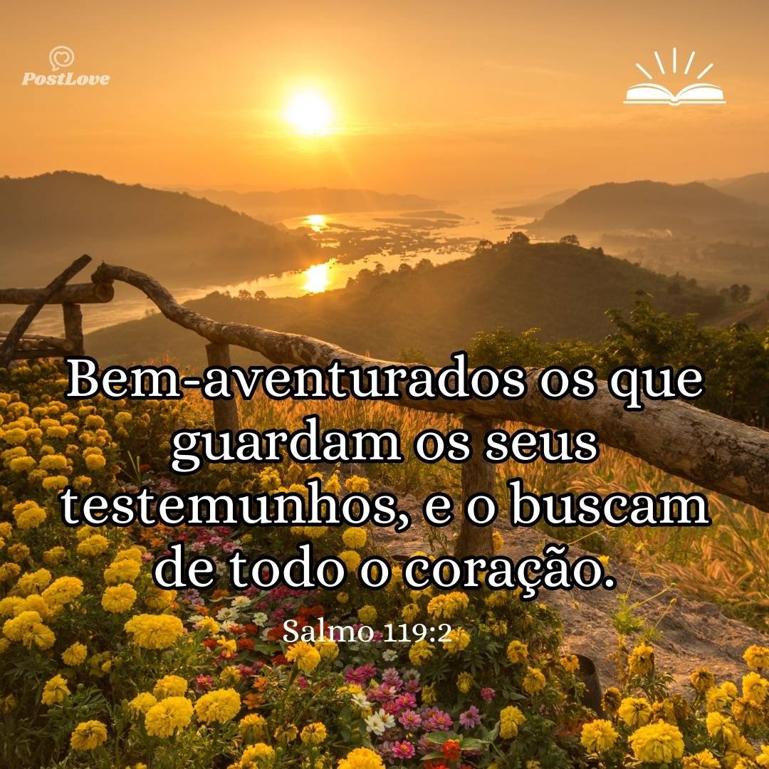 Bem-aventurados os que guardam os seus testemunhos, e o buscam de todo o coração.