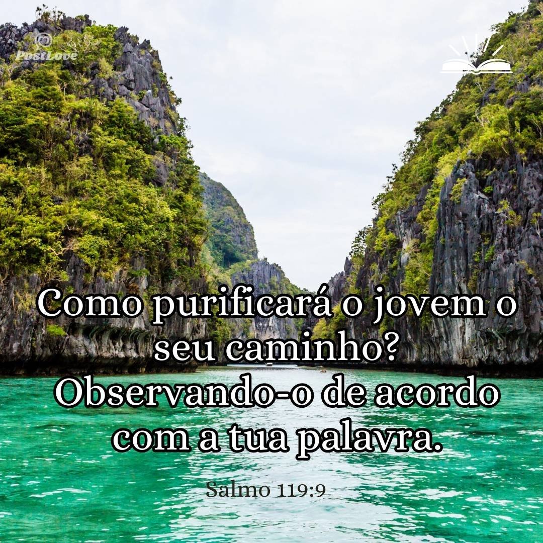 Como purificará o jovem o seu caminho? Observando-o de acordo com a tua palavra.