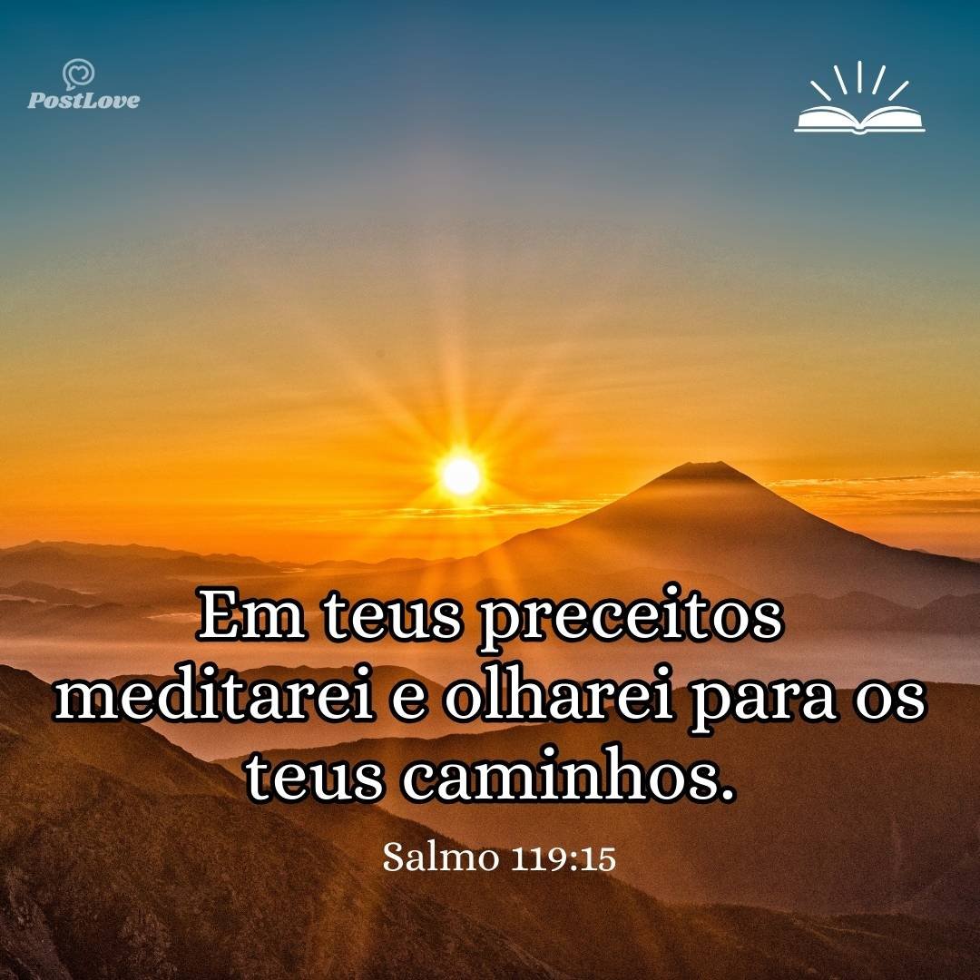 Em teus preceitos meditarei e olharei para os teus caminhos.