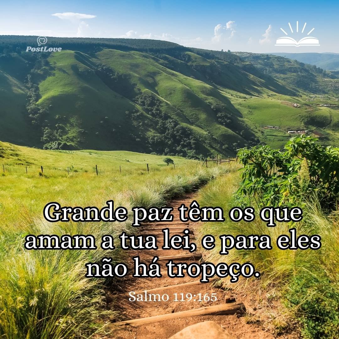 Grande paz têm os que amam a tua lei, e para eles não há tropeço.