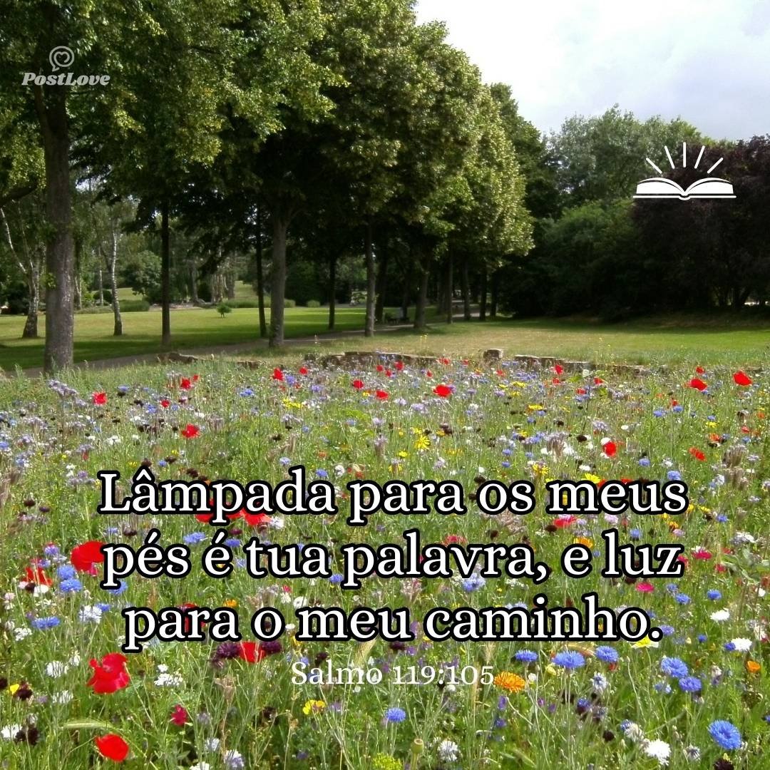 Lâmpada para os meus pés é tua palavra, e luz para o meu caminho.