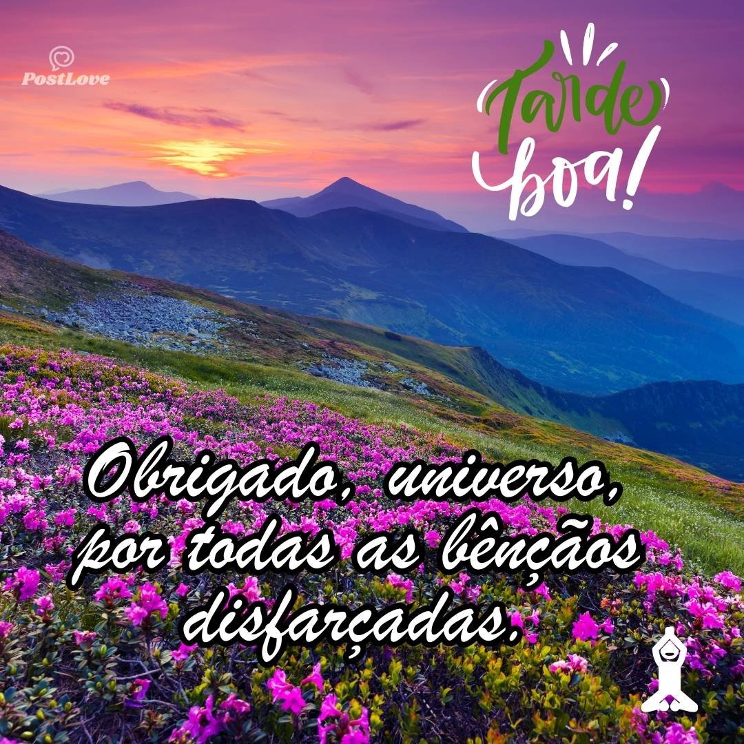 Obrigado, universo, por todas as bênçãos disfarçadas.
