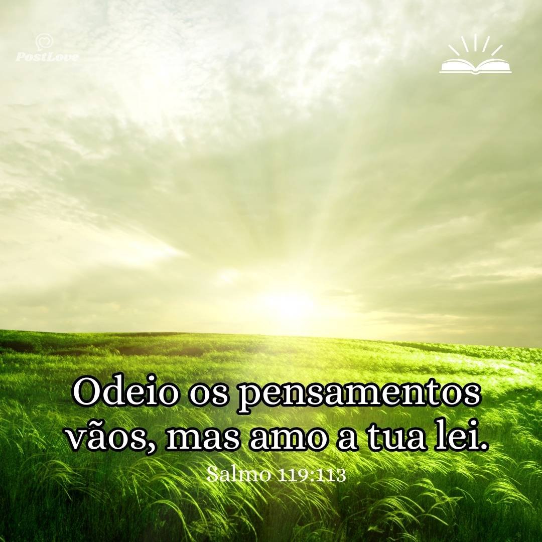 Odeio os pensamentos vãos, mas amo a tua lei.