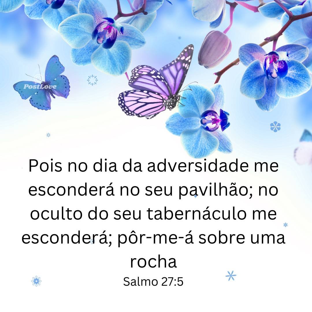 Pois no dia da adversidade me esconderá no seu pavilhão; no oculto do seu tabernáculo me esconderá; pôr-me-á sobre uma rocha