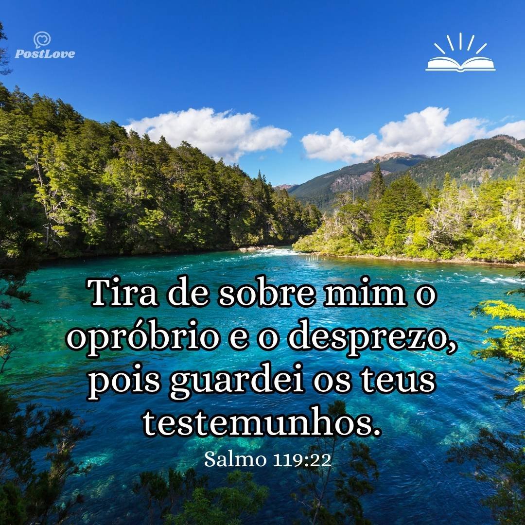 Tira de sobre mim o opróbrio e o desprezo, pois guardei os teus testemunhos.