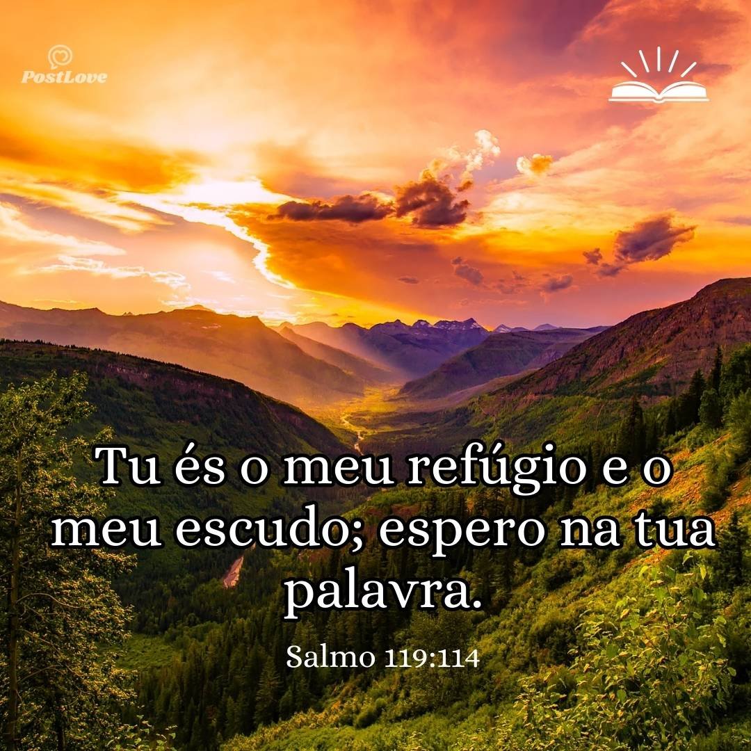Tu és o meu refúgio e o meu escudo; espero na tua palavra.