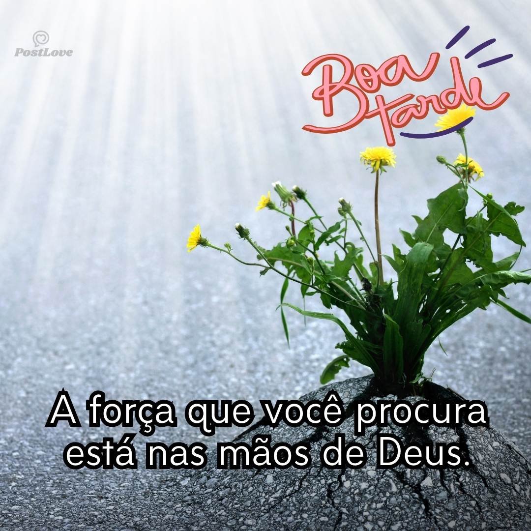 A força que você procura está nas mãos de Deus.