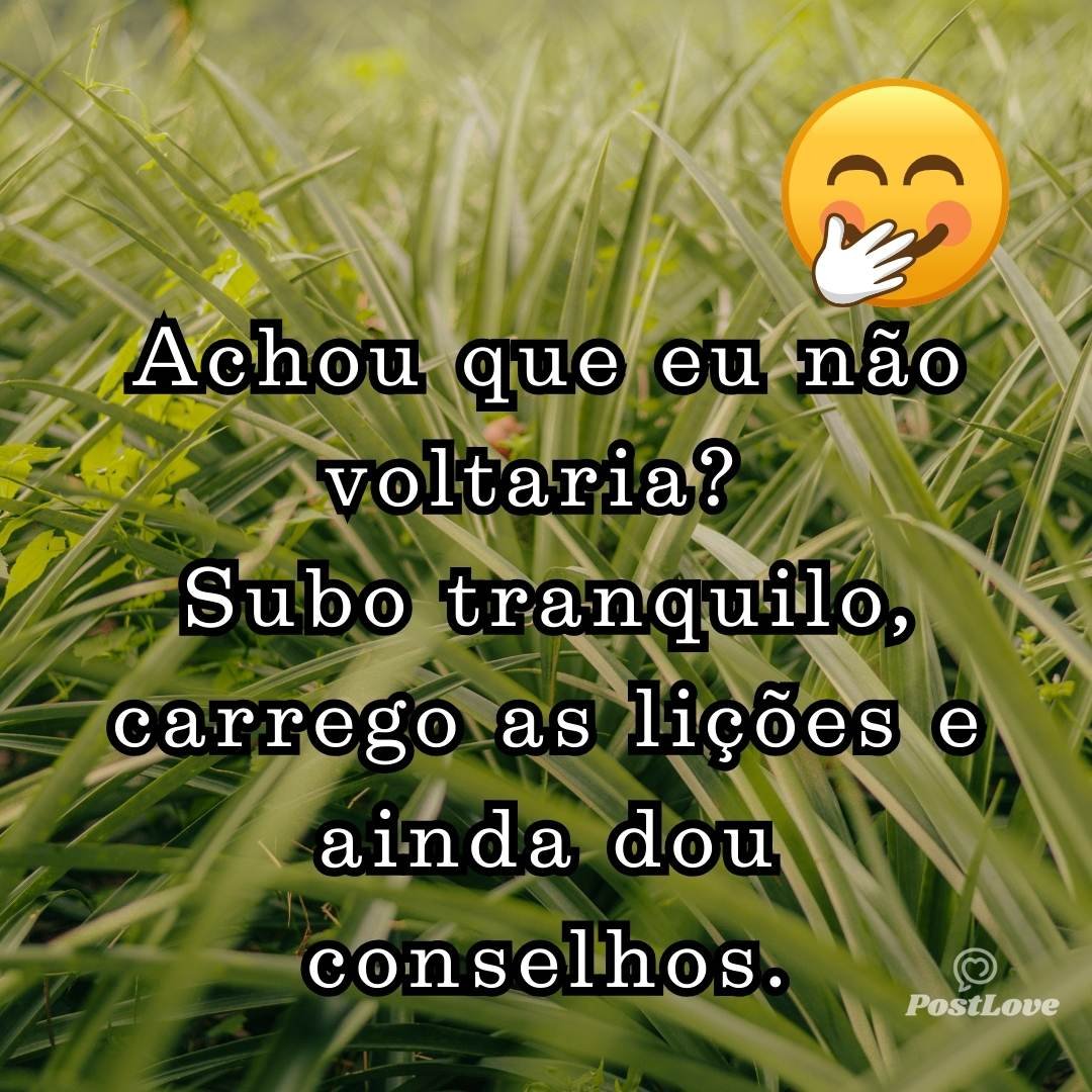 Achou que eu não voltaria? Subo tranquilo, carrego as lições e ainda dou conselhos.