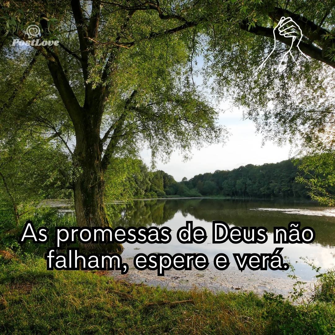 As promessas de Deus não falham, espere e verá.