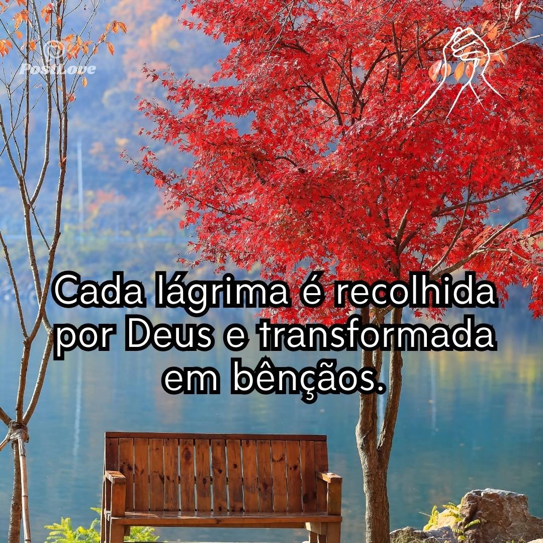 Cada lágrima é recolhida por Deus e transformada em bênçãos.