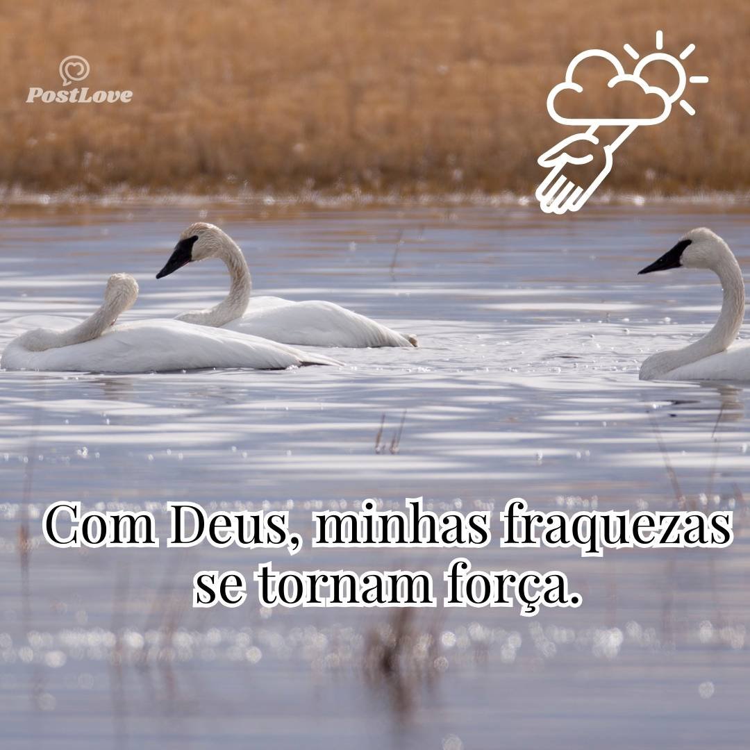 Com Deus, minhas fraquezas se tornam força.