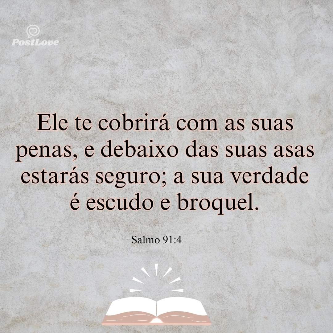 Ele te cobrirá com as suas penas, e debaixo das suas asas estarás seguro; a sua verdade é escudo e broquel.