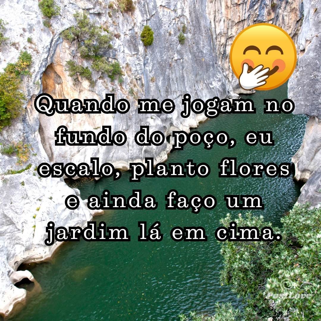 Quando me jogam no fundo do poço, eu escalo, planto flores e ainda faço um jardim lá em cima.