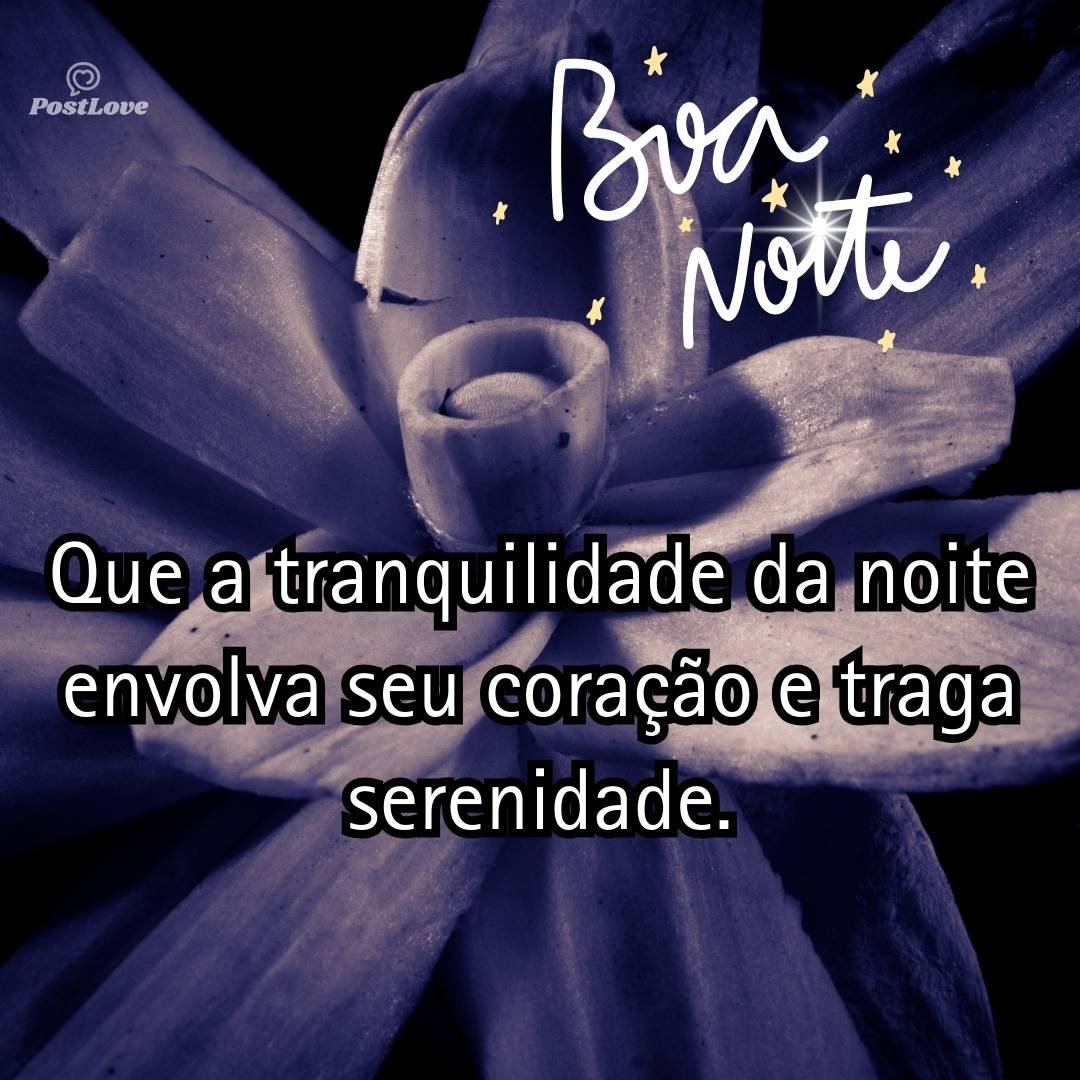 Que a tranquilidade da noite envolva seu coração e traga serenidade.