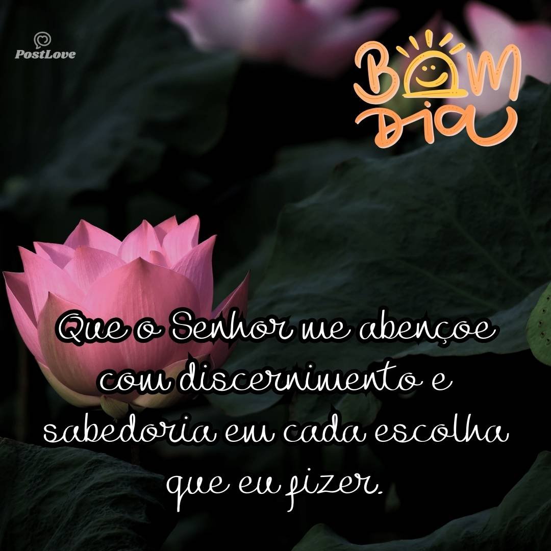 Que o Senhor me abençoe com discernimento e sabedoria em cada escolha que eu fizer.