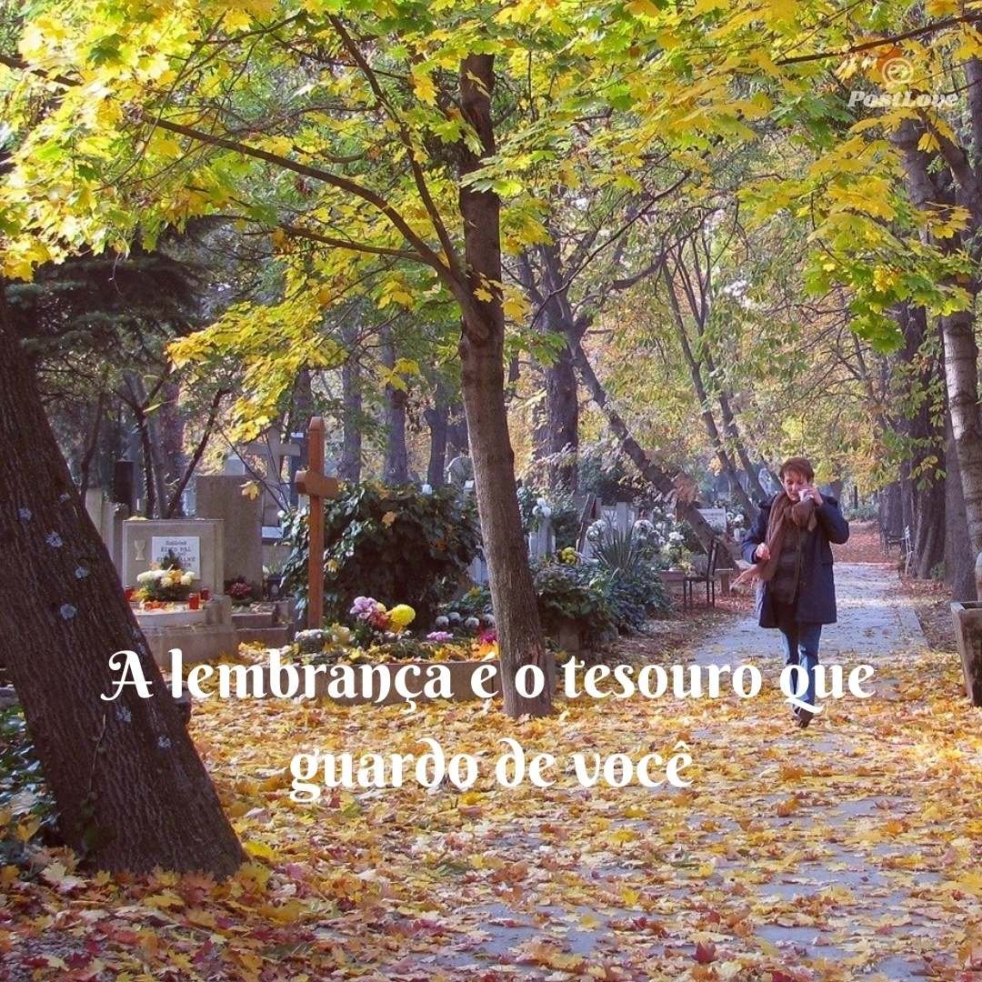 A lembrança é o tesouro que guardo de você