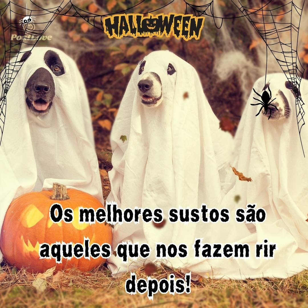 Os melhores sustos são aqueles que nos fazem rir depois!