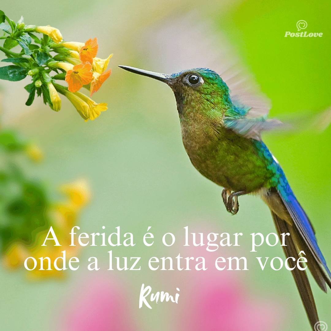 A ferida é o lugar por onde a luz entra em você