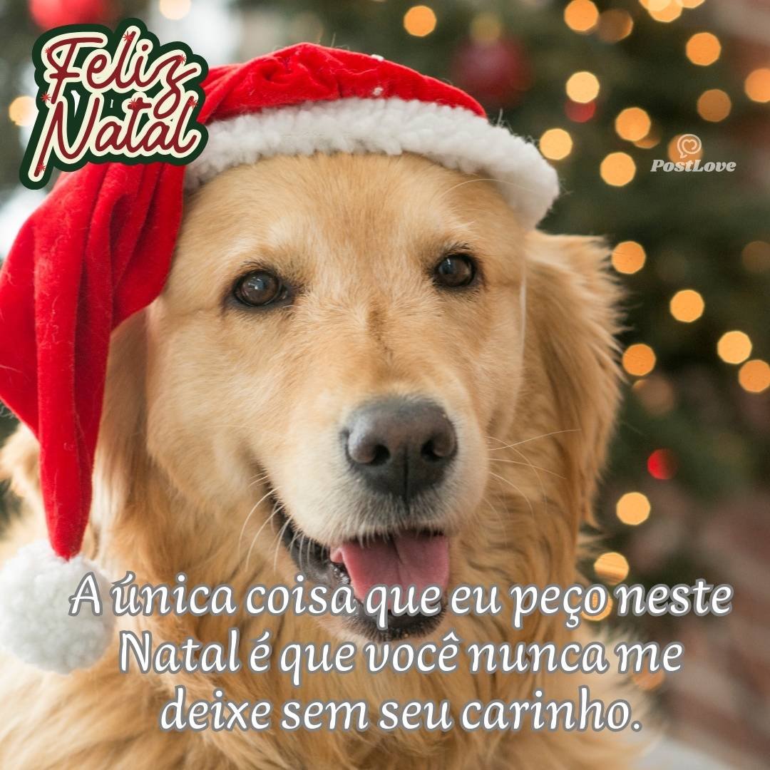 A única coisa que eu peço neste Natal é que você nunca me deixe sem seu carinho.