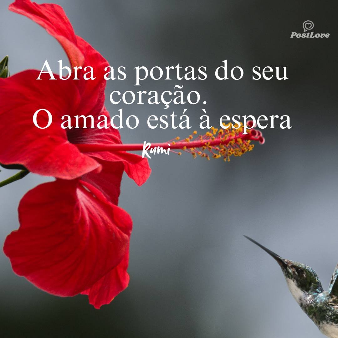 Abra as portas do seu coração. O amado está à espera