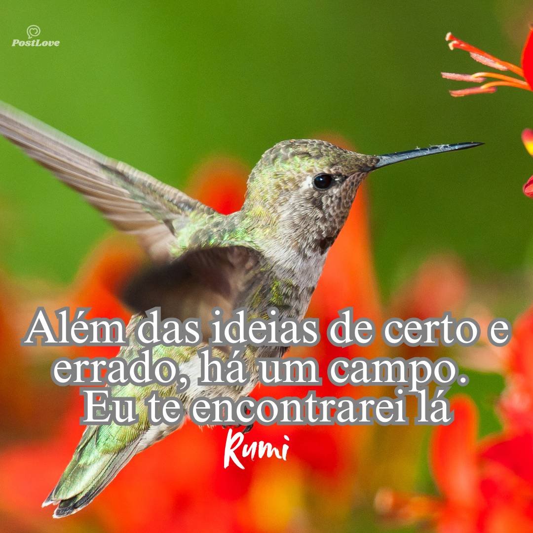 Além das ideias de certo e errado, há um campo. Eu te encontrarei lá