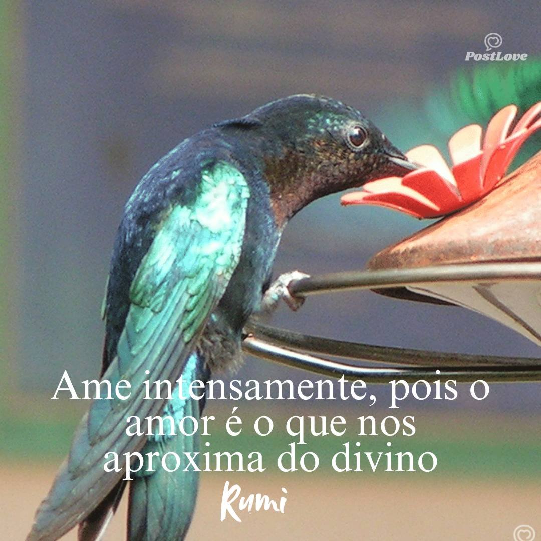 Ame intensamente, pois o amor é o que nos aproxima do divino