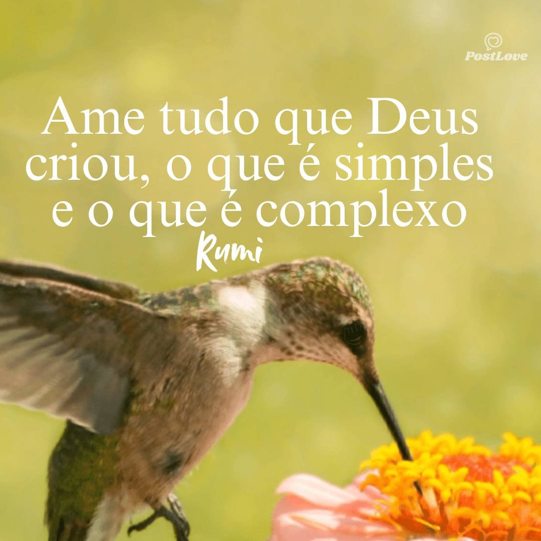 Ame tudo que Deus criou, o que é simples e o que é complexo