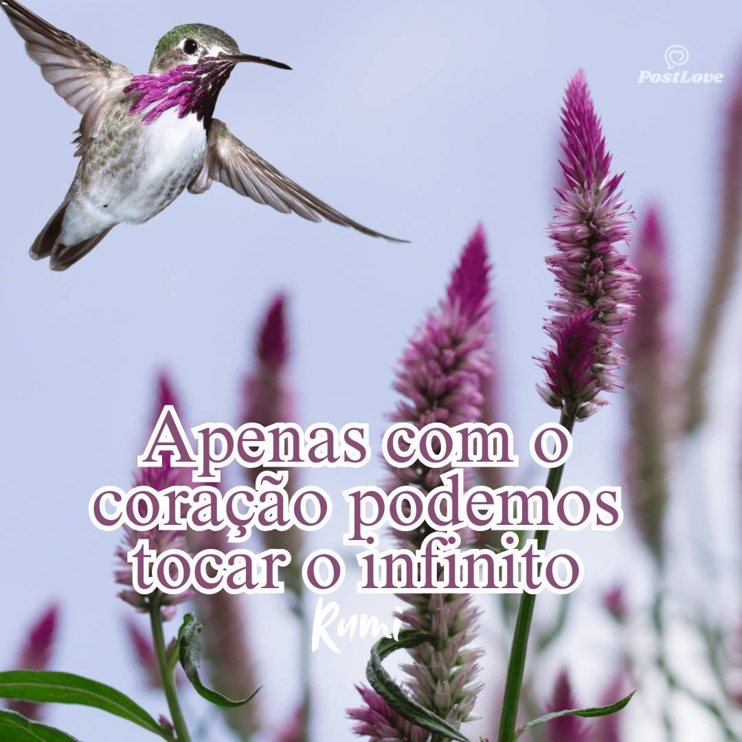 Apenas com o coração podemos tocar o infinito