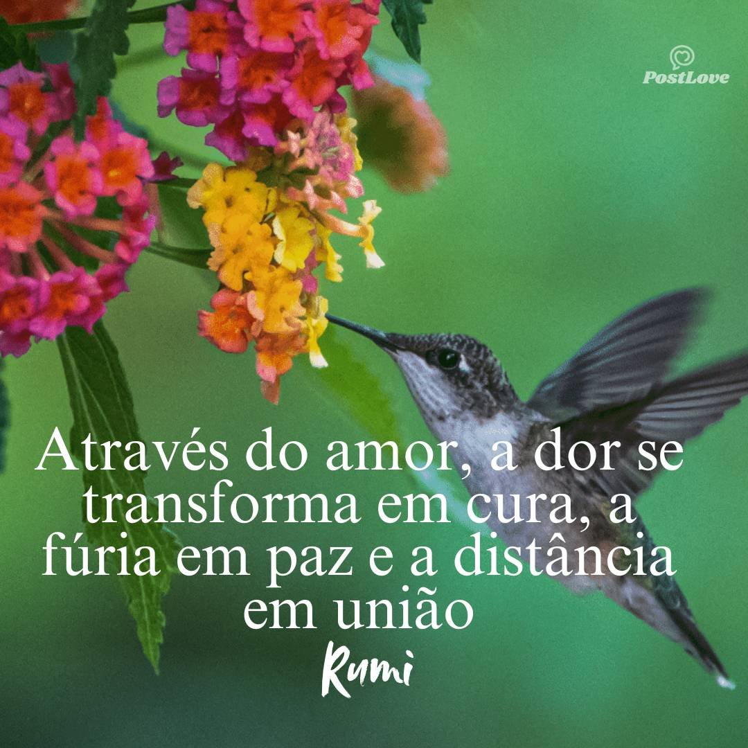 Através do amor, a dor se transforma em cura, a fúria em paz e a distância em união