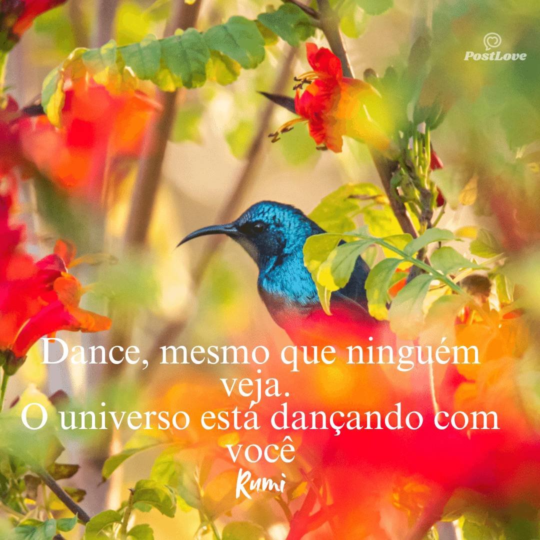 Dance, mesmo que ninguém veja. O universo está dançando com você
